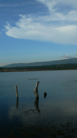 View over Great Pond, Treasure Beach, Jamaica